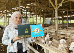 Perwakilan Oemah Aqiqah memperlihatkan dua kemasan paket aqiqah praktis dengan latar belakang kandang domba modern di Banyumas.