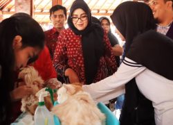Wakil Bupati Banyumas Dwi Asih Lintarti meninjau pemeriksaan dan penimbangan berat badan kucing peliharaan saat vaksinasi rabies gratis peringatan World Rabies Day 2026.