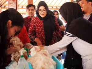 Wakil Bupati Banyumas Dwi Asih Lintarti meninjau pemeriksaan dan penimbangan berat badan kucing peliharaan saat vaksinasi rabies gratis peringatan World Rabies Day 2026.