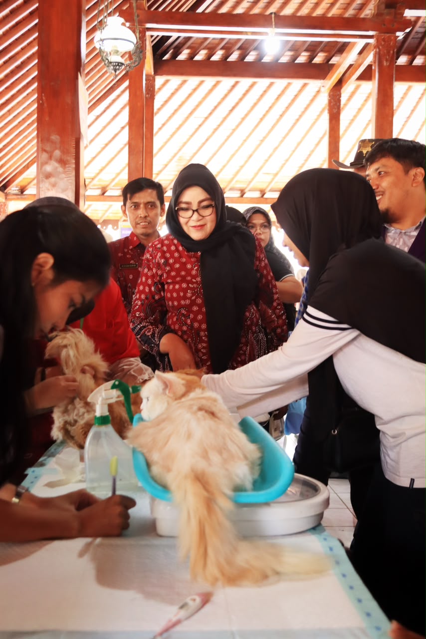 Wakil Bupati Banyumas Dwi Asih Lintarti meninjau pemeriksaan dan penimbangan berat badan kucing peliharaan saat vaksinasi rabies gratis peringatan World Rabies Day 2026.